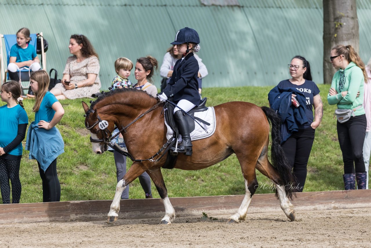 Bild 19 - Pony Akademie Turnier